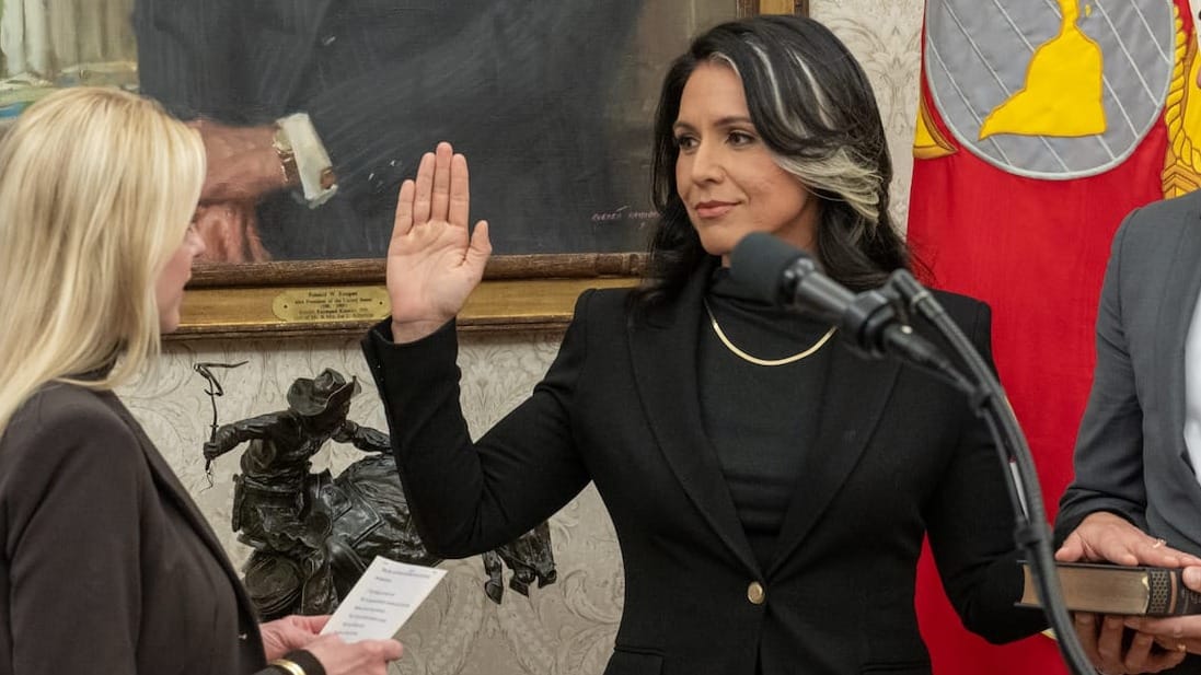 Intel whistleblower accuses director of national intelligence of being Tulsi Gabbard