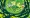 DUFFEL BLOG PRESENTS: Rick and Morty give your weekend safety brief