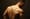 Court takes everything from guy with 'Molon Labe' tattoo