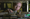 General Nakasone loses sticky note with Cyber Command master password