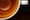 Vet brand coffee beans pass through intestines of four vet bros before they hit your cup
