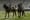 West Point replaces mission statement with dancing mule Tik Tok