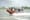 Coast Guard accused of boater suppression