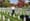 Trump criticized for 'sneaking in a quick nine' at Arlington National Cemetery