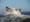 Coast Guard boat crashing through waves is having a f*cking blast!