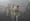 Army unit tear-gases soldiers for de-morale event