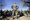It's a first! Air Force basic trainee becomes grandad
