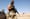 Pentagon Study Finds Beards Directly Related To Combat Effectiveness