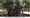 Arlington replaces confederate statue with statue of interracial gay troops kissing
