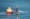 US Navy sub accidentally collides with downed Reaper drone