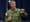 Admiral McRaven defends millennials in viral TikTok video
