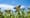 NORTHCOM cubicle farm grows record number of colonels