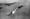 CIA reveals Santa was killed in Cambodian airspace in 1971