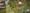 Realistic new 'Counterinsurgency' video game lets you watch troops fuck up until you're fired