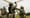 Army renames JRTC to Center for Live Action Roleplaying Army Preparation